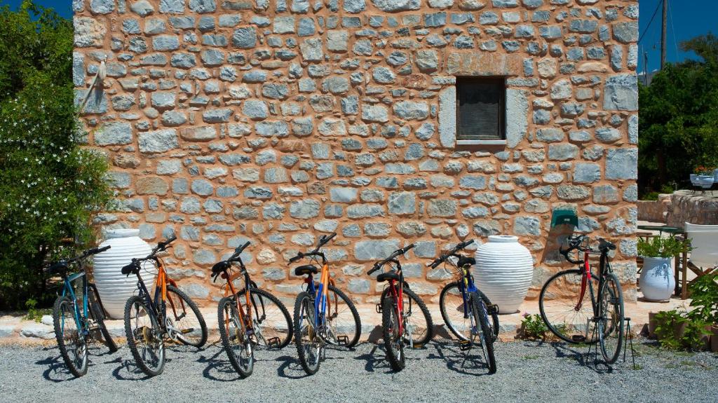 Jazda na bicykli v okolí ubytovania Guesthouse Toxotis