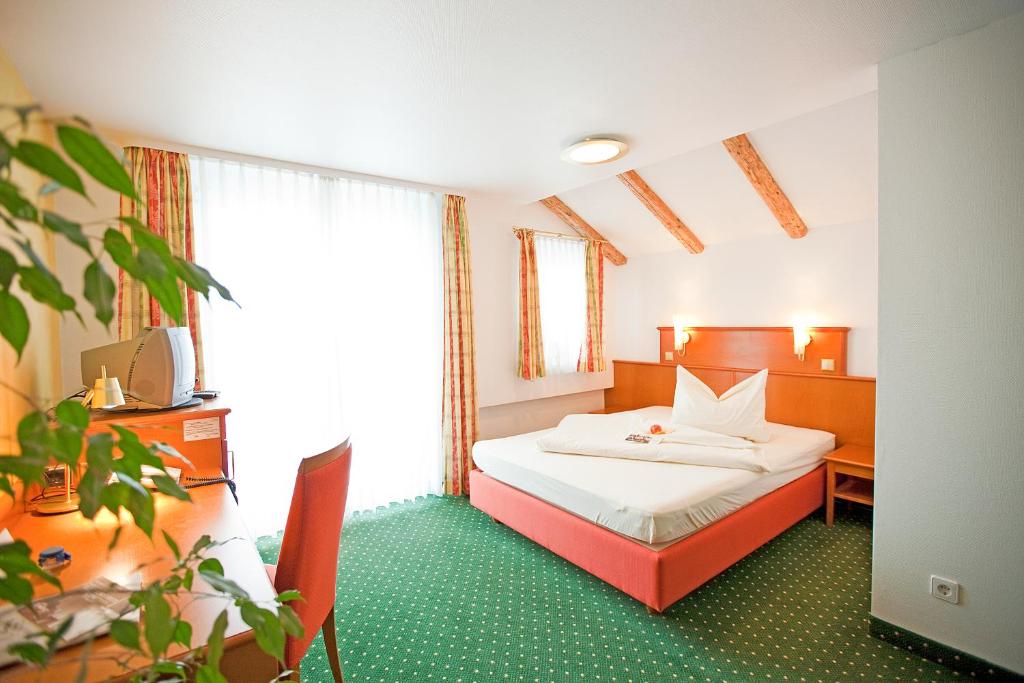 Widmann's Löwen - Deluxe Double Room (1 Adult)