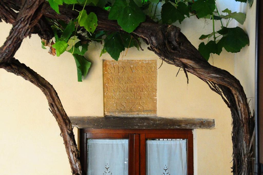 Fotografie z fotogalerie ubytování B&B Camere La Vite v destinaci Pienza
