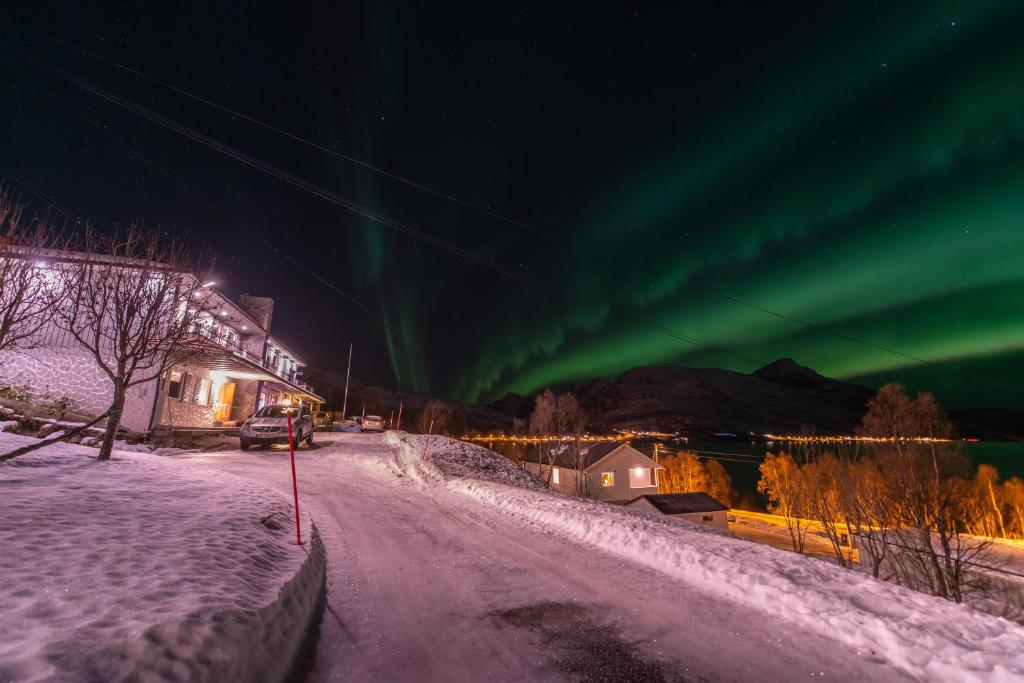 une image des lumières du nord dans le ciel dans l'établissement Leilighet, à Tromsø