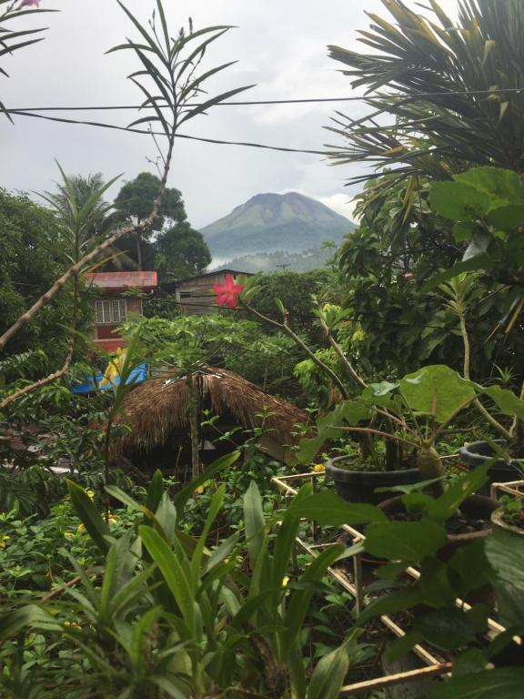 Ellens Homestay - Doppel- Oder Zwillingszimmer