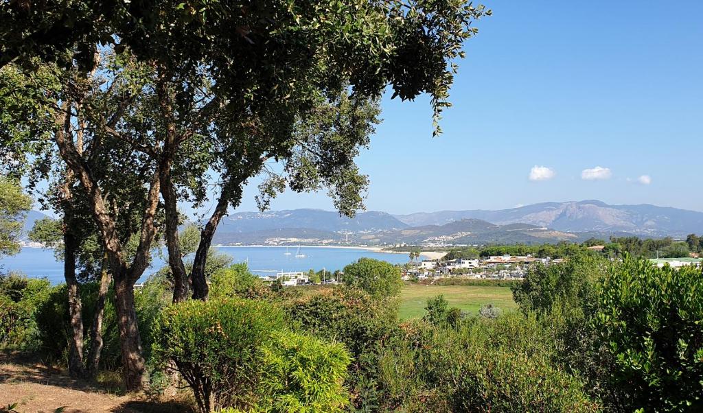 a view of a lake from a hill with trees at Vista Mare in Porticcio