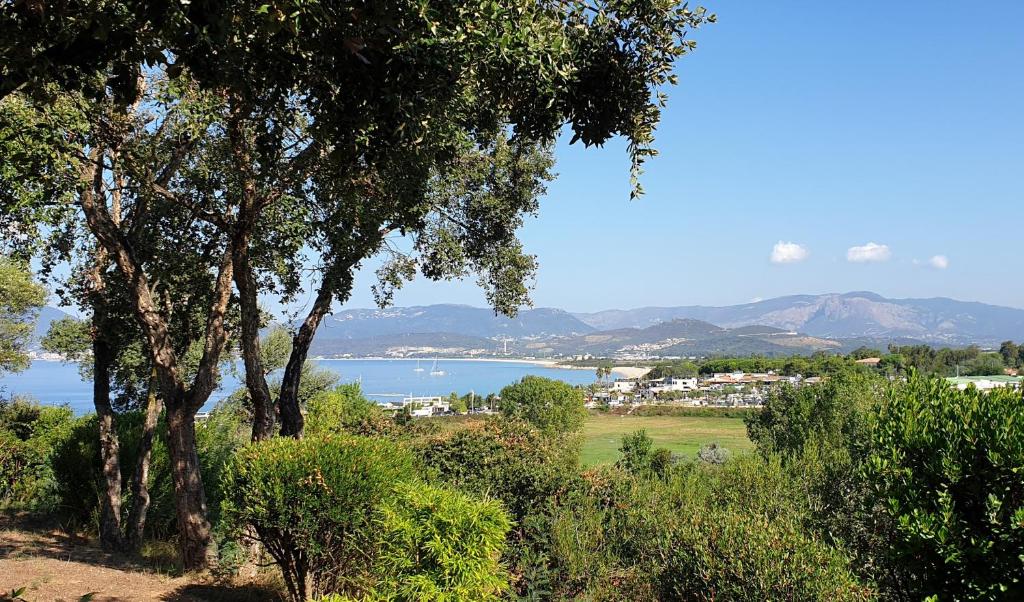 Blick auf einen See von einem Hügel mit Bäumen in der Unterkunft Vista Mare in Porticcio