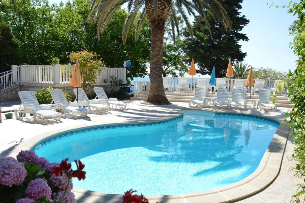 basen z leżakami i palmą w obiekcie Apartments Ora - with pool w Orebiciu