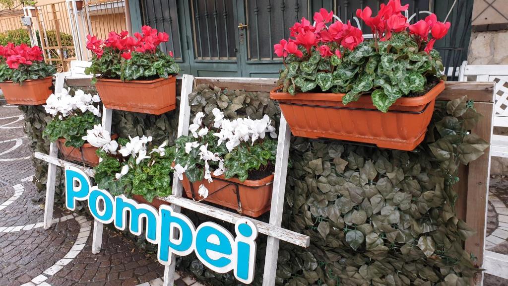Zdjęcie z galerii obiektu B&B Vesuvio Ruins w mieście Pompeje