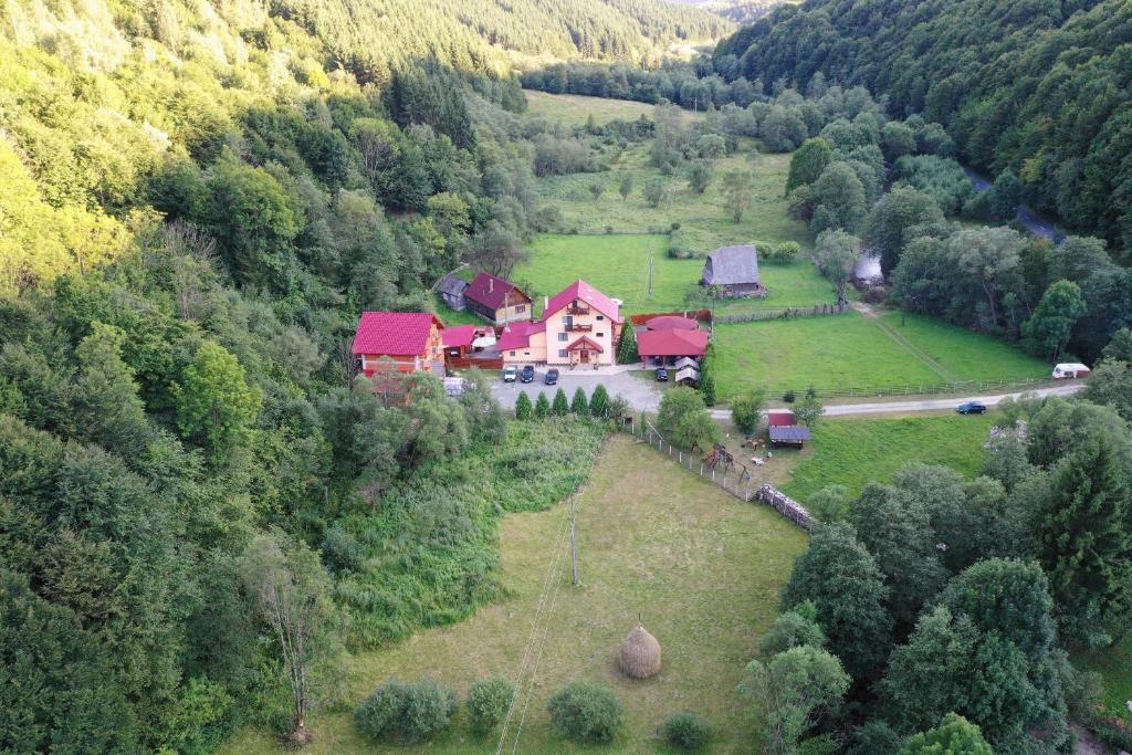 an aerial view of a house in the middle of a forest at Pensiunea Claudia in Scrind-Frăsinet