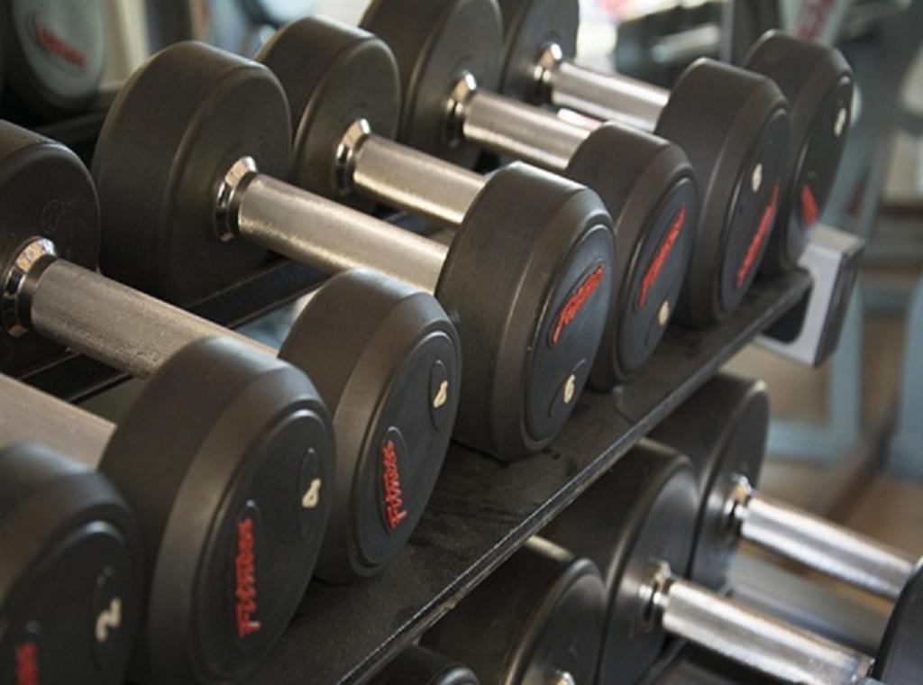 Fitness centrum a/nebo fitness zařízení v ubytování Mughal Suites