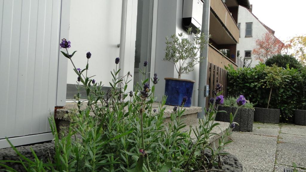 Zahrada ubytování Ferienhaus Paschke Möhnesee Zentrum
