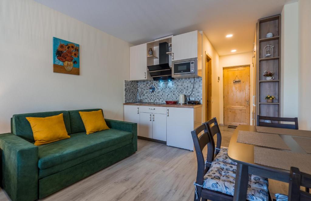 Kuchyň nebo kuchyňský kout v ubytování New Gudauri Block 4, Gondola apartment