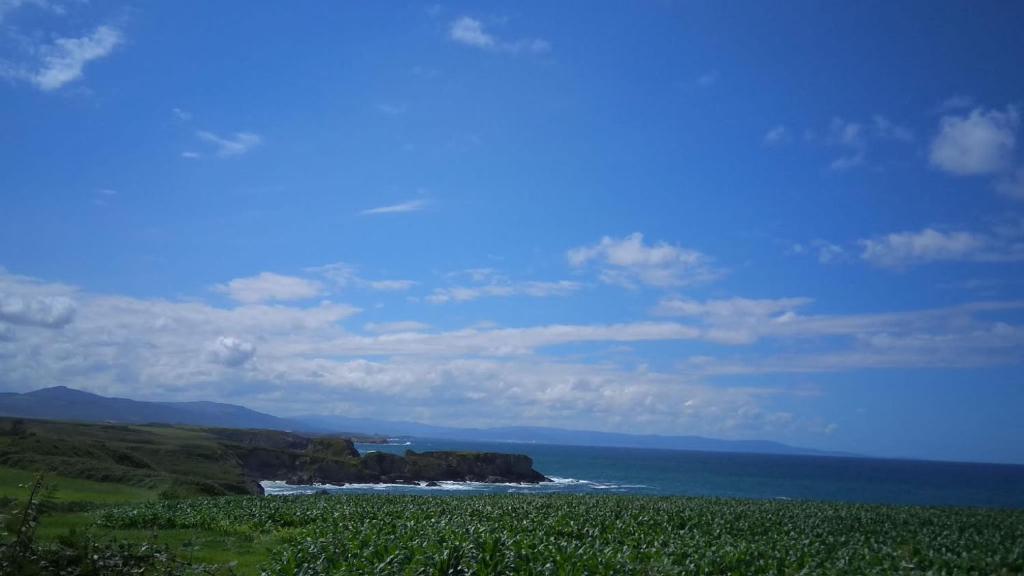 a view of the ocean and a green field at A Fragua in Tapia de Casariego