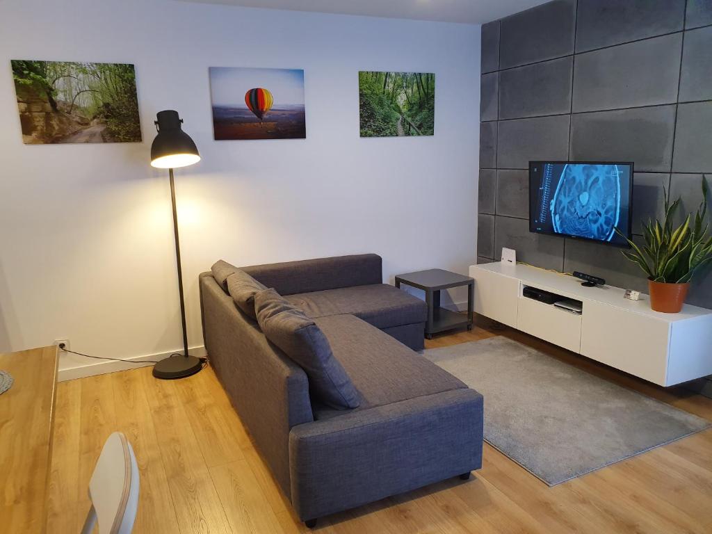 salon z kanapą i telewizorem z płaskim ekranem w obiekcie Nałęczowski Horyzont w Nałęczowie