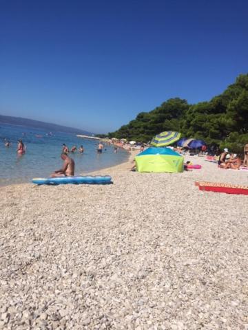 Príroda v okolí apartmánu