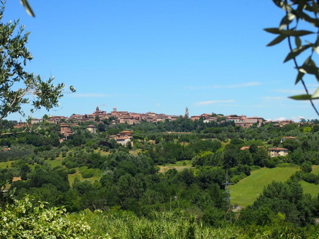 a town on top of a hill with trees at Nell'Antica Torre di Fronte a Siena in Siena