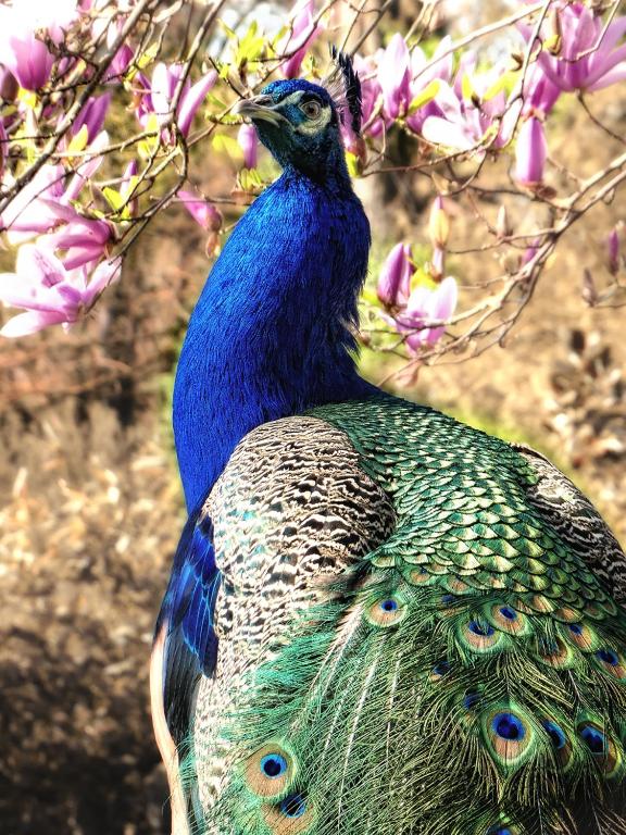 Hofgut Holzmuhle - 16