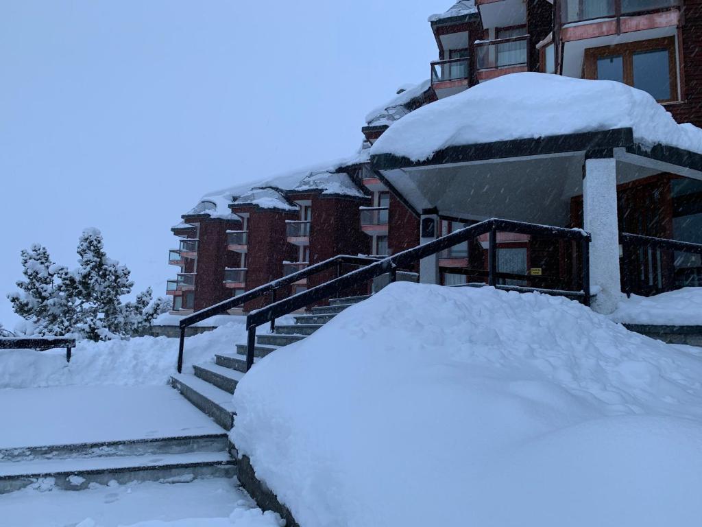 Obiekt Giomein appartamento sulle piste , CIR 0280 zimą