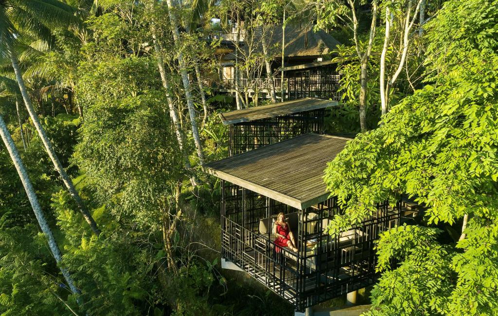 eine Aussicht über ein Baumhaus im Wald in der Unterkunft Hoshinoya Bali in Ubud