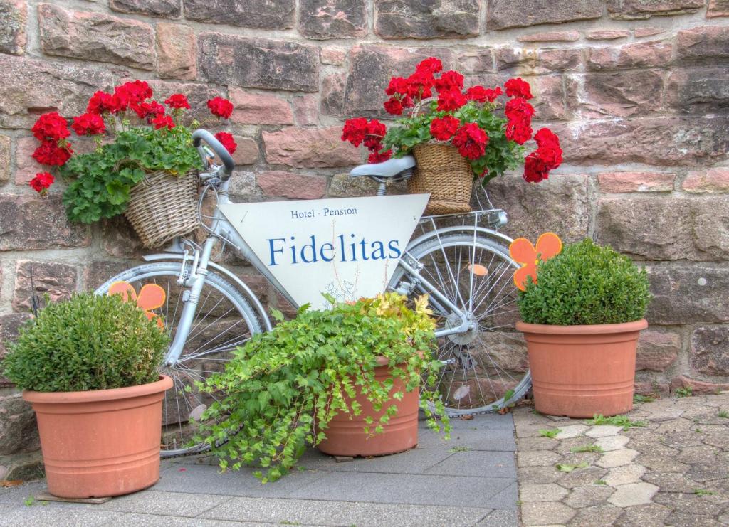 Jízda na kole v ubytování Hotel Fidelitas nebo okolí
