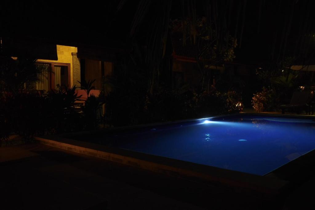 Alam Mimpi Bali - 16