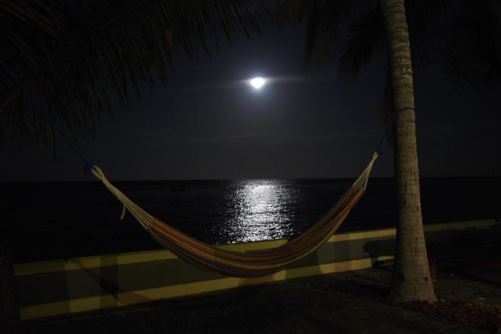 Alam Mimpi Bali - 15