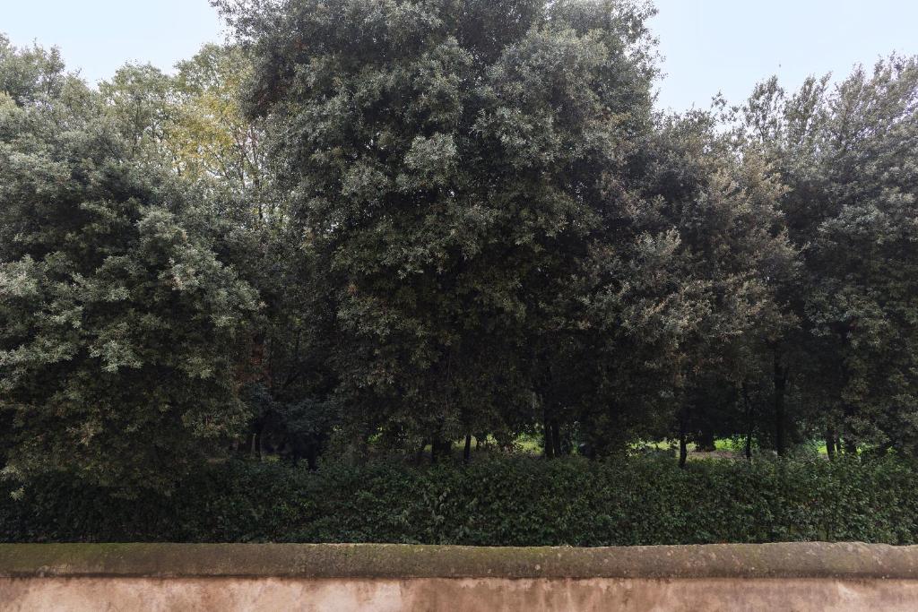 Ogród w obiekcie Ad un passo da Villa Borghese Apartment