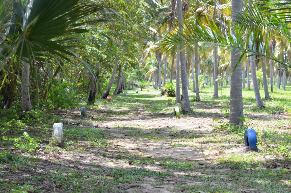  Pousada Paraiso dos Coqueirais
