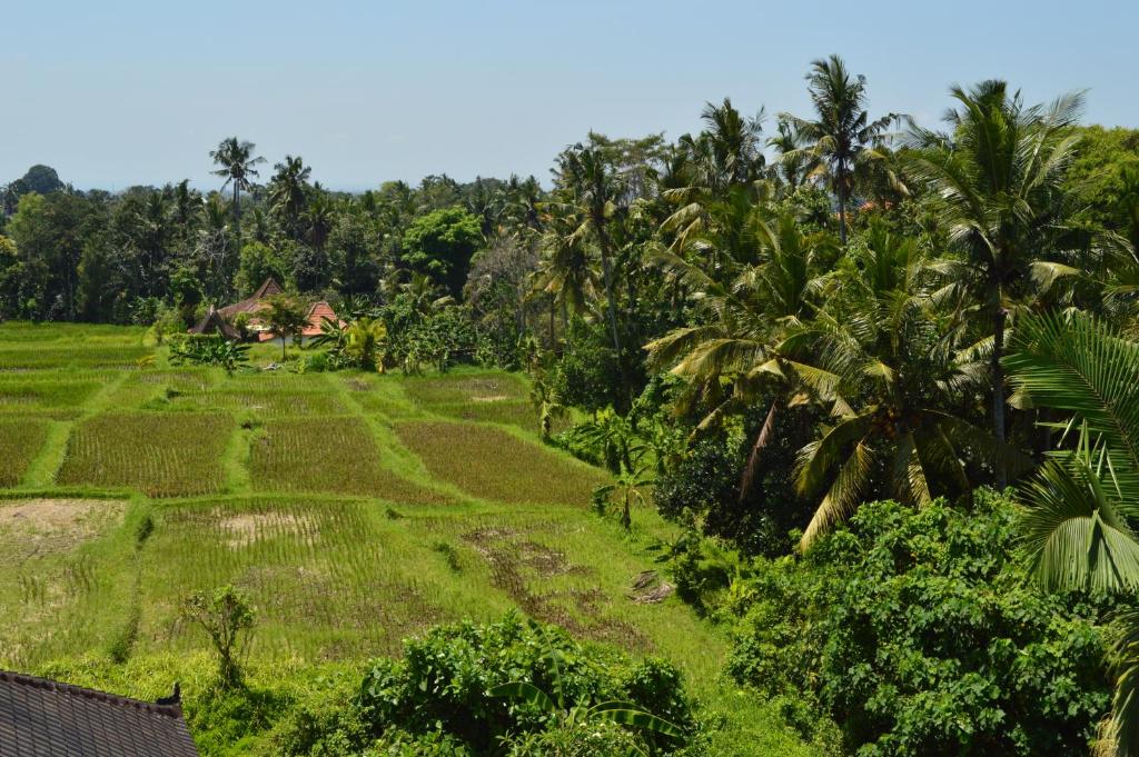 Askara Guest House & Hostel - Photo 3