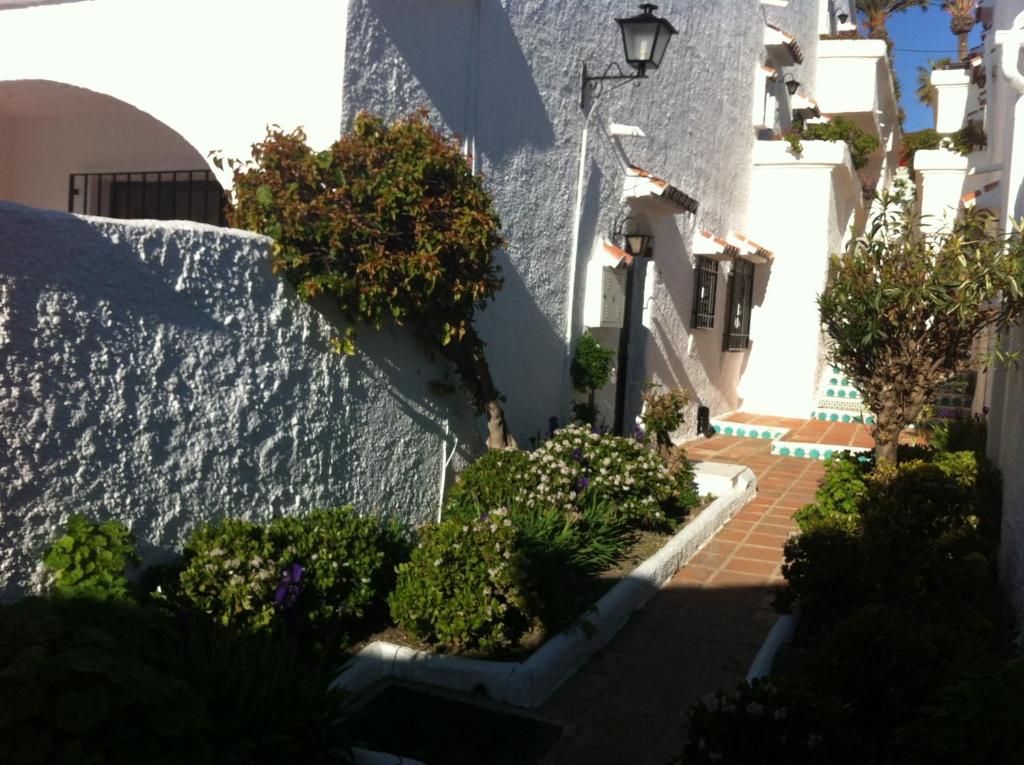 a courtyard of a building with a bunch of plants at El Capistrano Sur in Nerja
