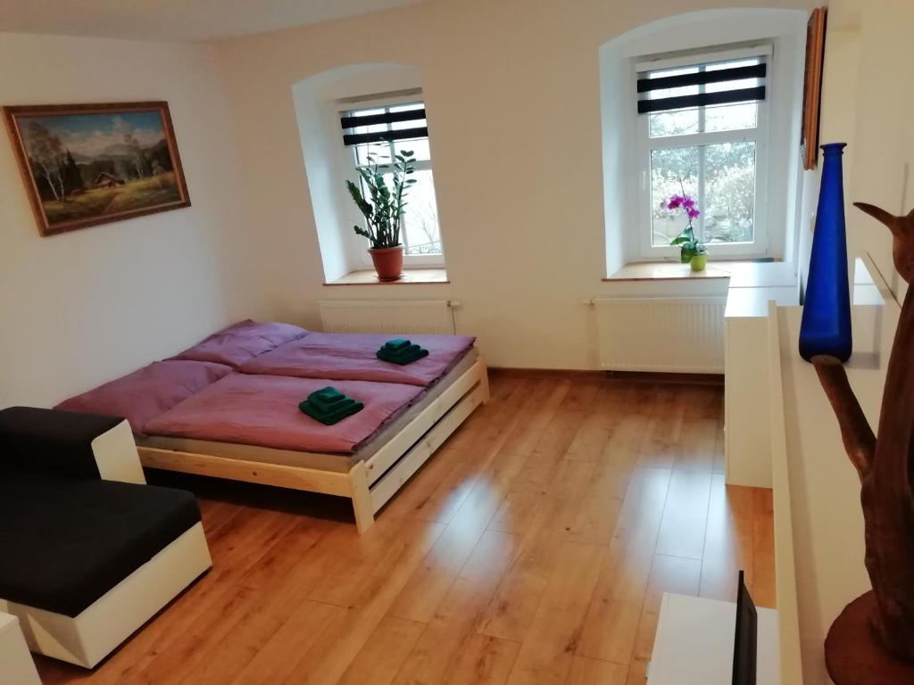 1 dormitorio con 1 cama y 2 ventanas en Apartmán Albreit en Jáchymov