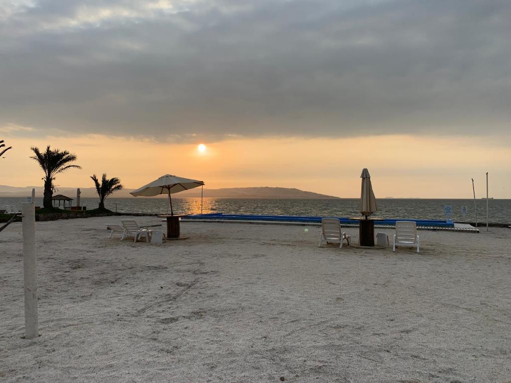 En strand ved eller i nærheten av ferieboligen