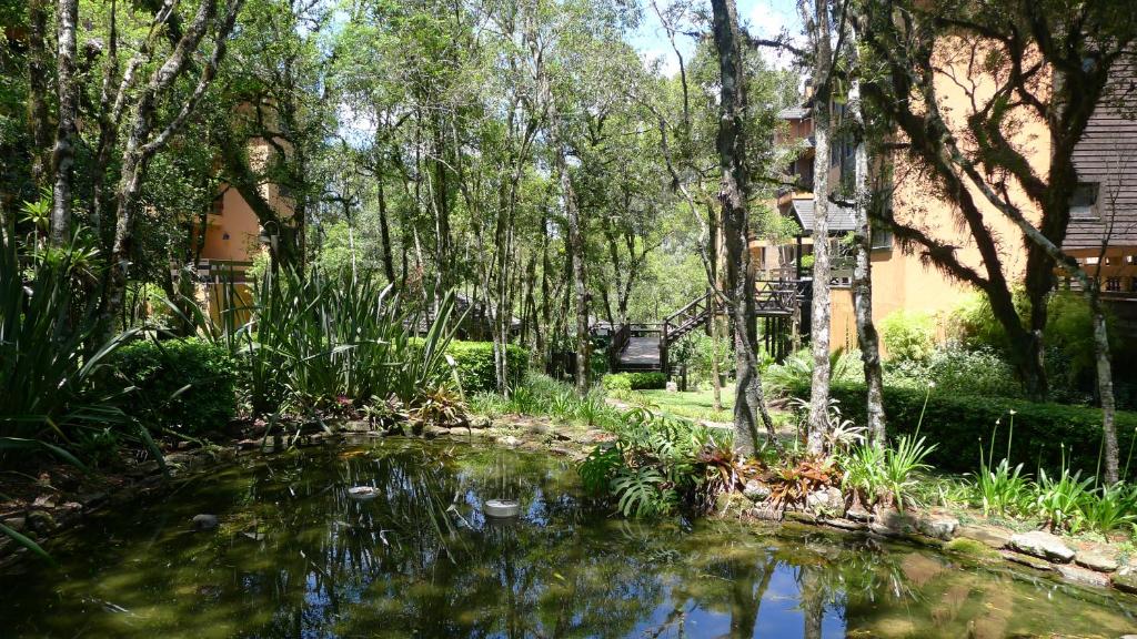 Ap Gramado Knorrville 4p  Ap Gramado Knorrville 4p