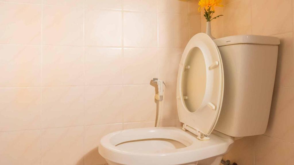 Sabina Guesthouse Kamala - 11