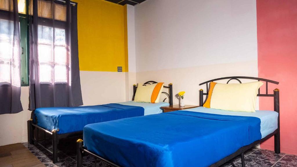 Sabina Guesthouse Kamala - 5