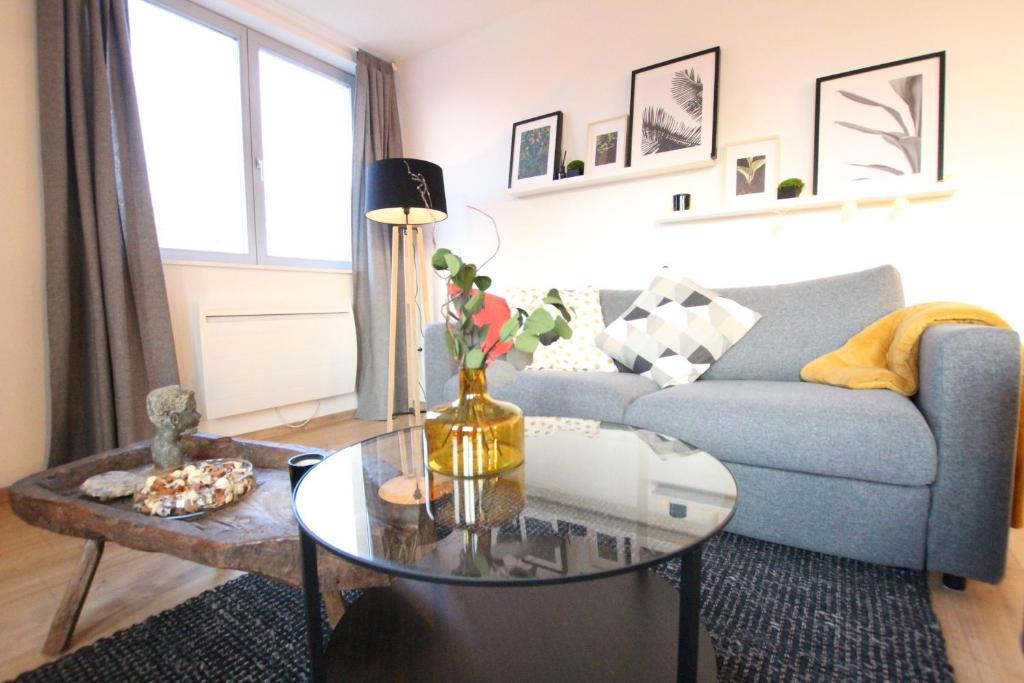 Colmar City Center - Bright and Large Appartement REMPARTS – photo 12