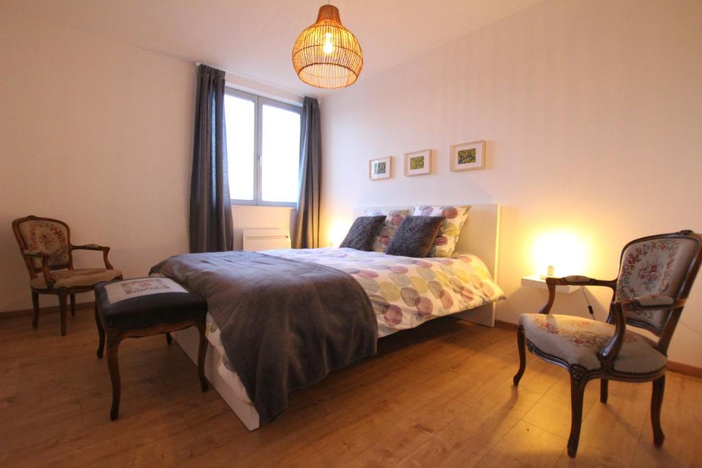 Colmar City Center - Bright and Large Appartement REMPARTS – photo 10