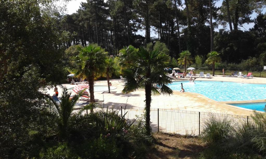 - une piscine bordée de palmiers dans l'établissement T2 Turquoise Ondres plage avec piscine et tennis, à Ondres