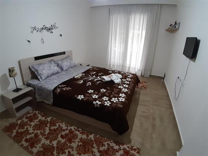 kosta's apartment 2 - 8