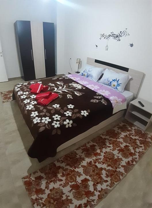 kosta's apartment 2 - 11