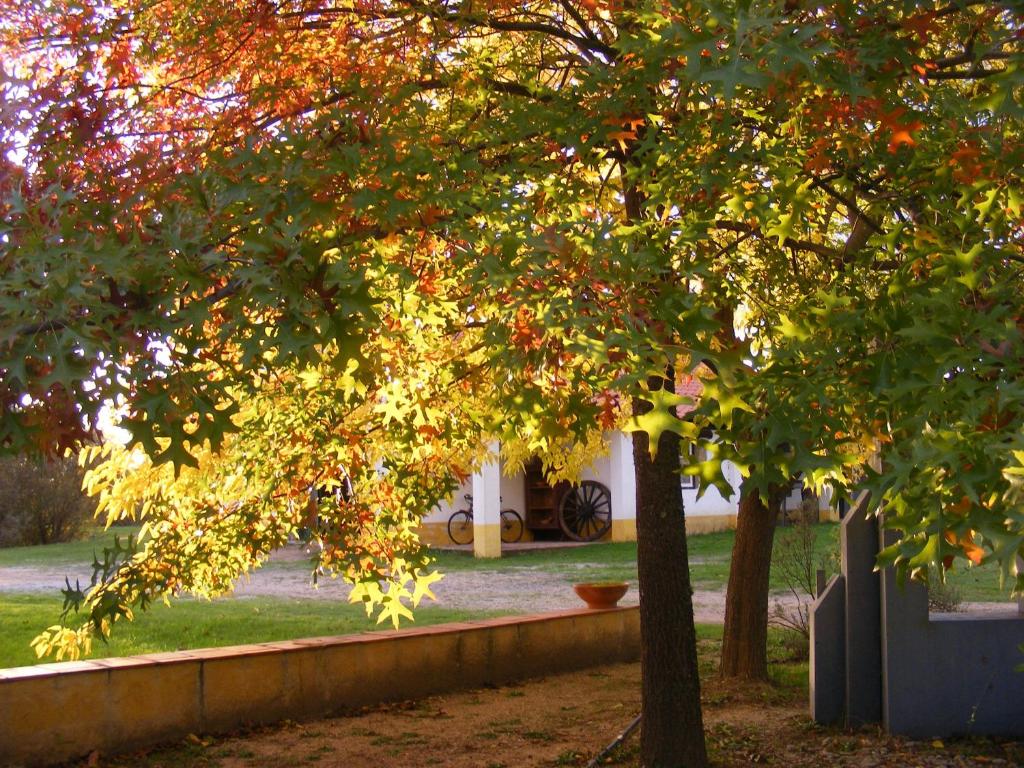 Um jardim no exterior de Quinta dos Trevos - Artes e Ofcios