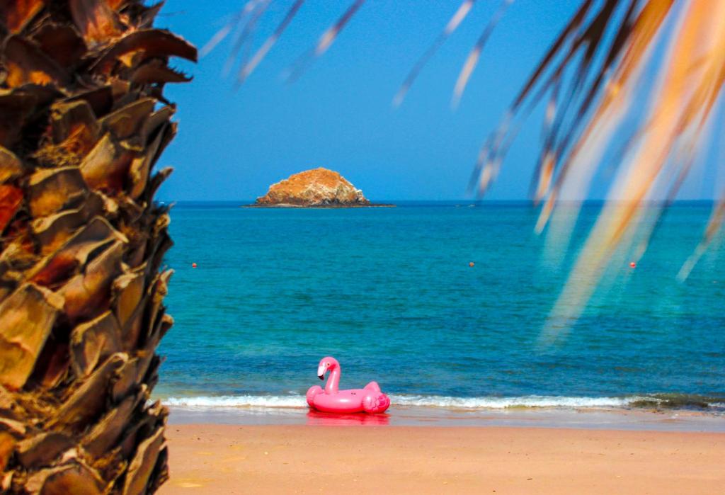 Tatil köyü yakınında doğal manzara