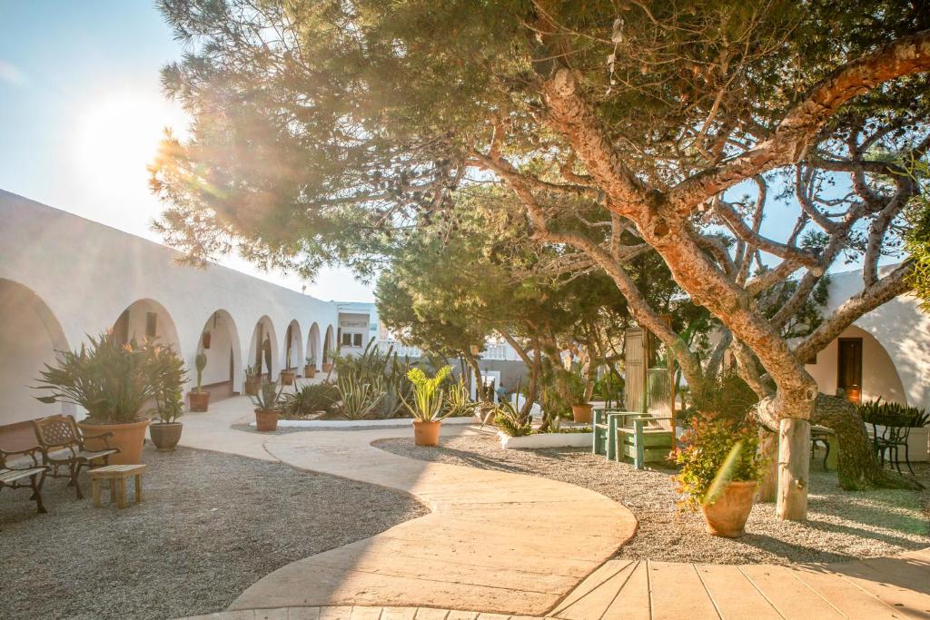 a courtyard with a tree and tables and benches at Hostal La Torre Ibiza Cap Negret in San Antonio