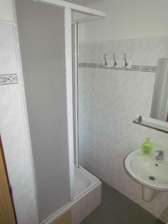 łazienka z prysznicem i umywalką w obiekcie Dopravna Alžbětín w mieście Železná Ruda