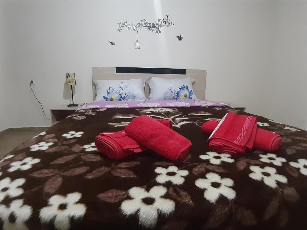 kosta's apartment 2 - 5