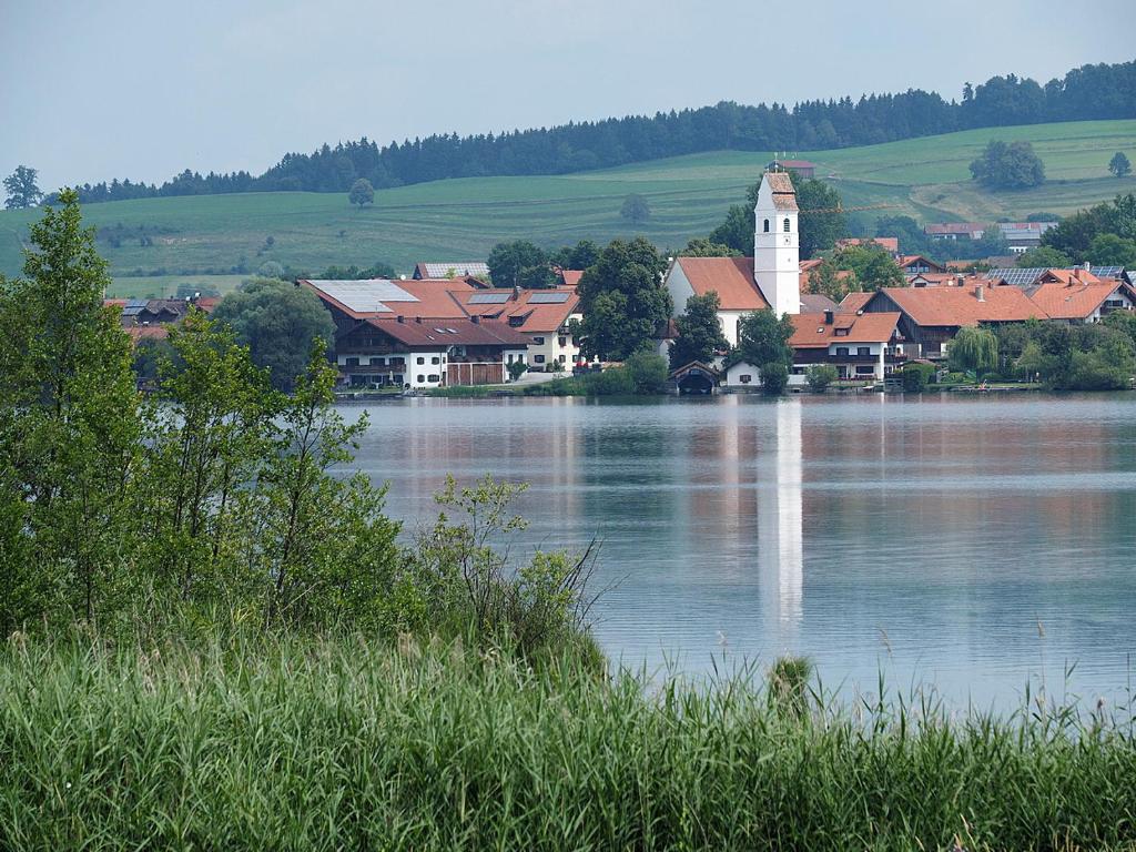 Příroda nedaleko hotelu