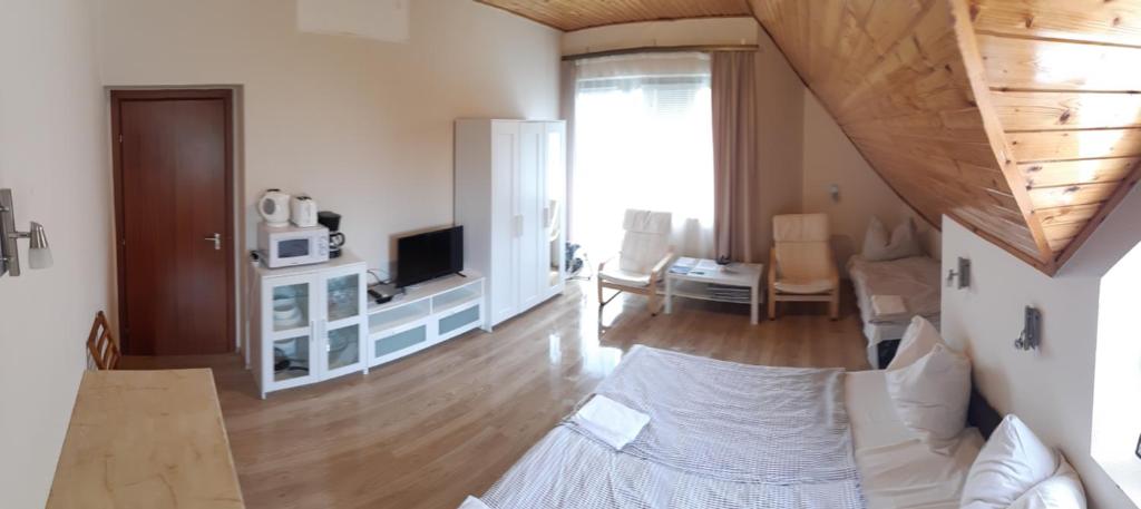 TV a/nebo společenská místnost v ubytování Jankó Apartman