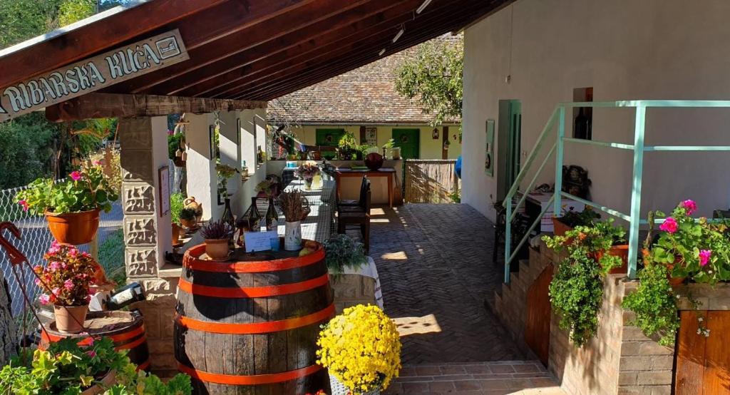 una tienda de jardinería con un montón de plantas y flores en Izvor, en Ilok