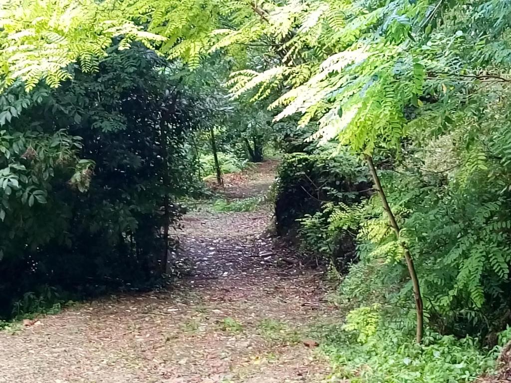 Fotografia z galérie ubytovania Casolare Toscano v destinácii Lorenzana