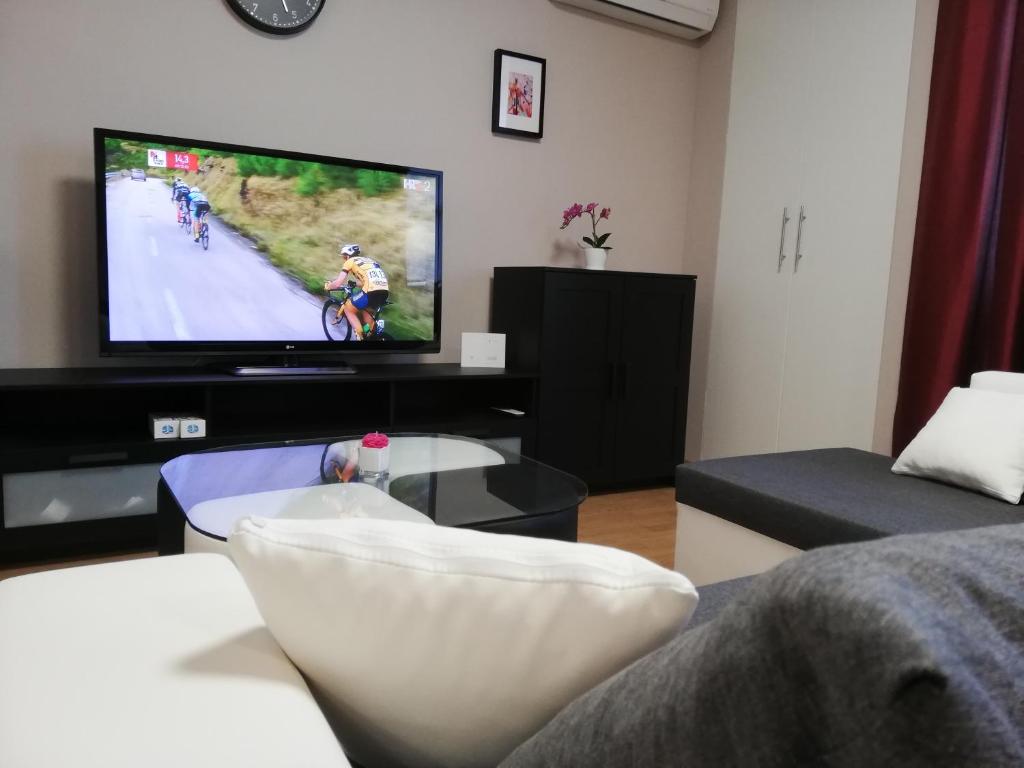 uma sala de estar com uma televisão de ecrã plano e um sofá em Studio Apartment Lea em Čazma