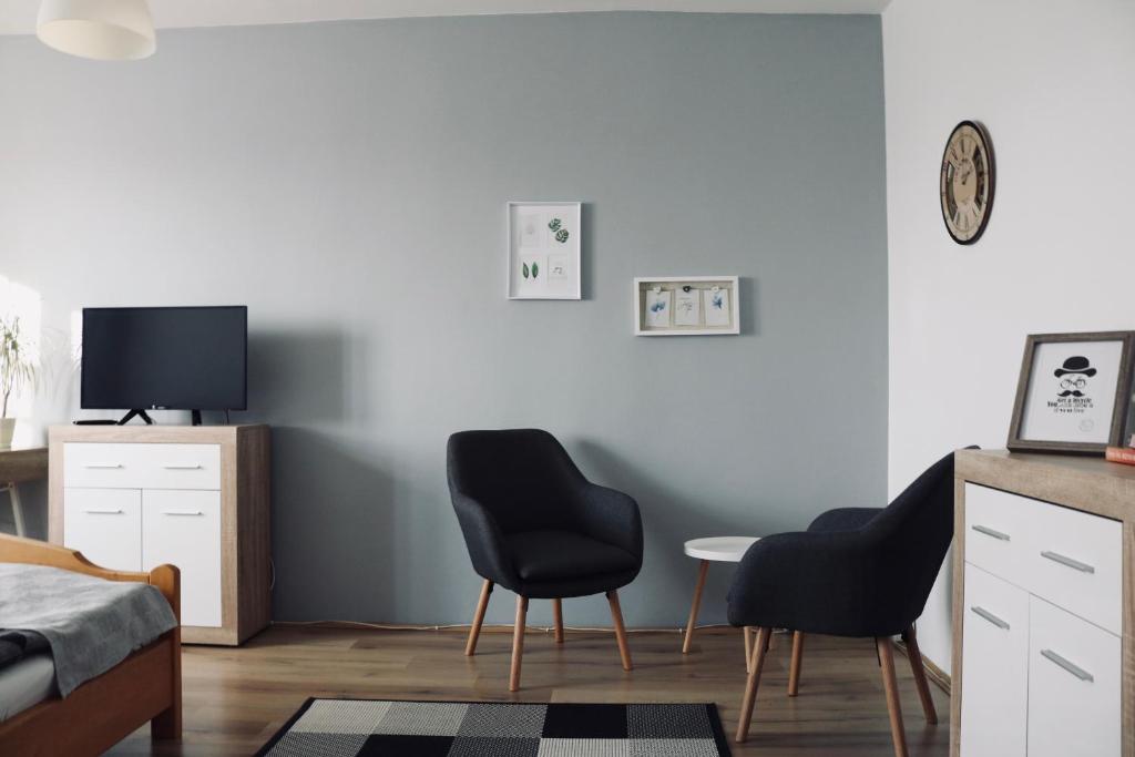 Televízia a/alebo spoločenská miestnosť v ubytovaní Levendula Apartman Pécs