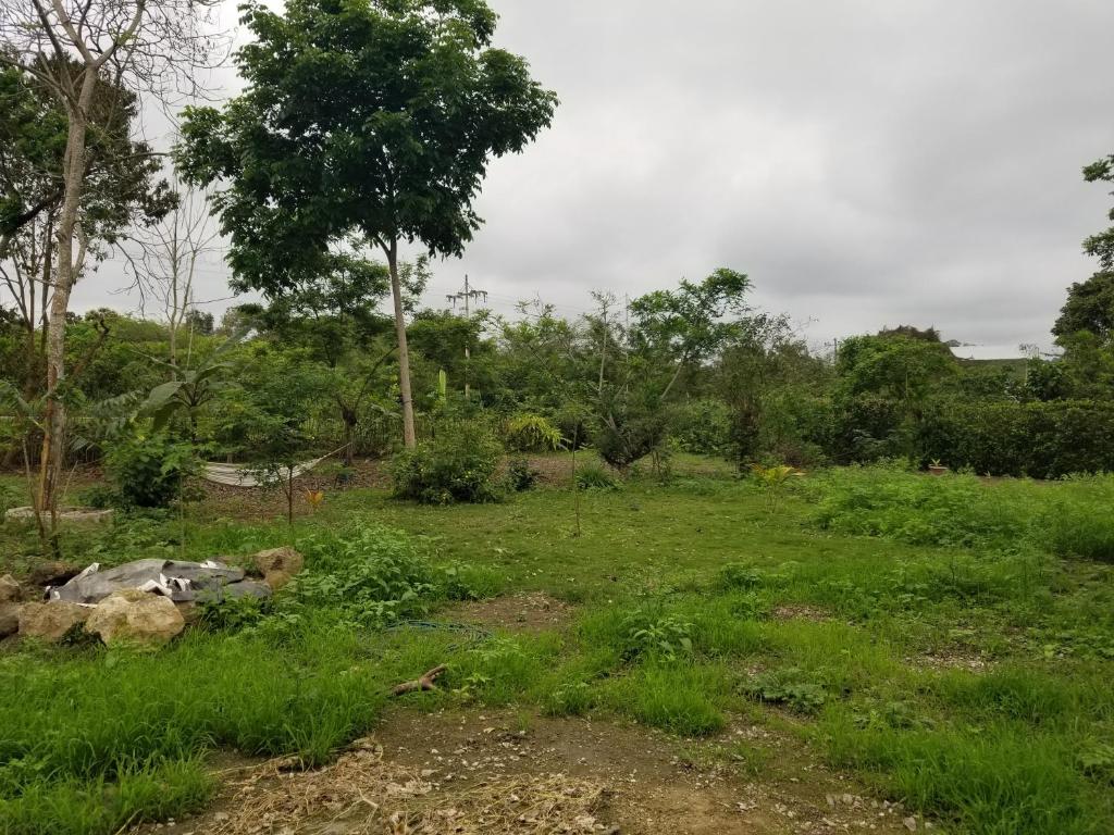 Campground La Flor de Sabi Montañita, Ecuador - Booking.com