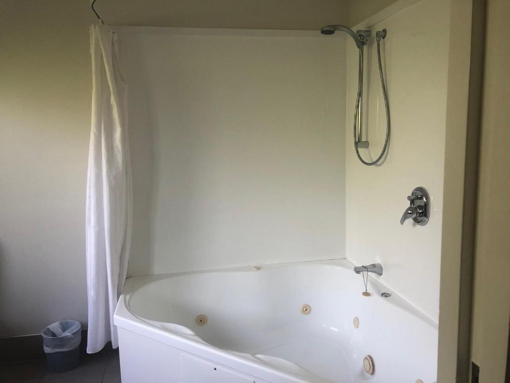 Claremonte Motor Lodge - Resim 7